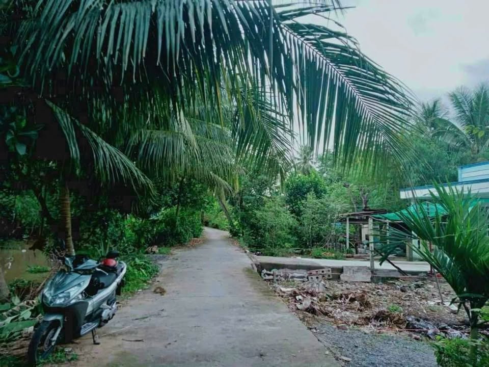 Bán nền 108,5m2 thổ cư 80m2 tại phường Tân Hoà, Vĩnh Long giá 550 triệu