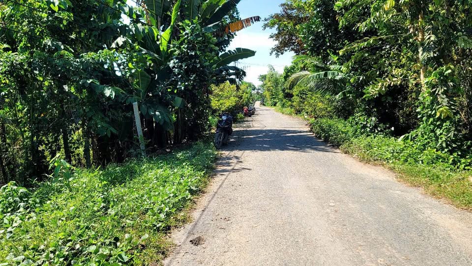 Cần bán gấp nền đất đẹp tại Bình Phú, Châu Phú, An Giang