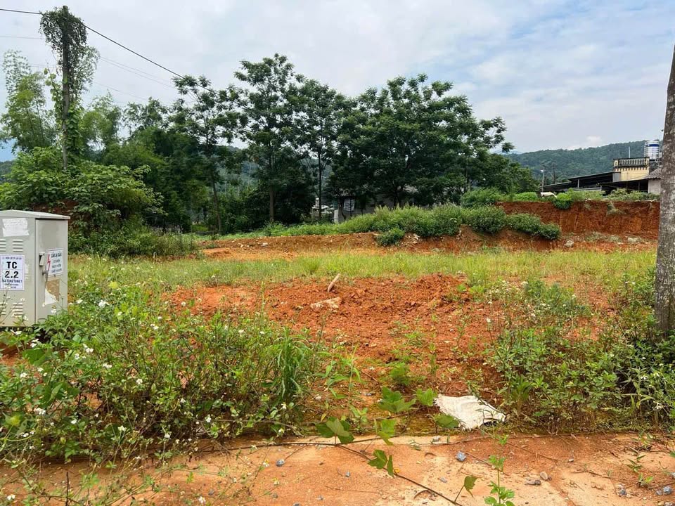 Bán đất vị trí đắc địa, sầm uất tại thị xã Sa Pa, tỉnh Lào Cai