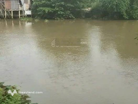 Bán 12 công lúa tại ấp mỹ tường Thiện Trung, Cái Bè, Tiền Giang, 16,5 tỷ, 12943 m2