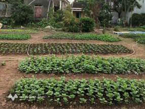 12.8 tr/ m2 mặt Phố Phường Hà An/ TX Quảng Yên