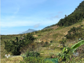 900m mường hoa nhà sàn mới view lúa cực đỉnh diện tích: 900m thổ cư: 200m