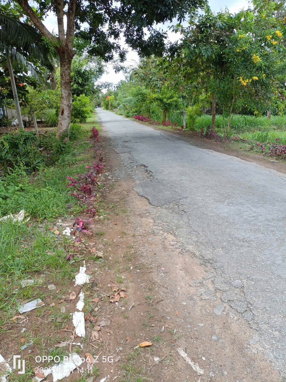 Cơ hội sở hữu ngay 5179m2 đất công vườn dừa tuyệt đẹp tại phường An Hội, Bến Tre