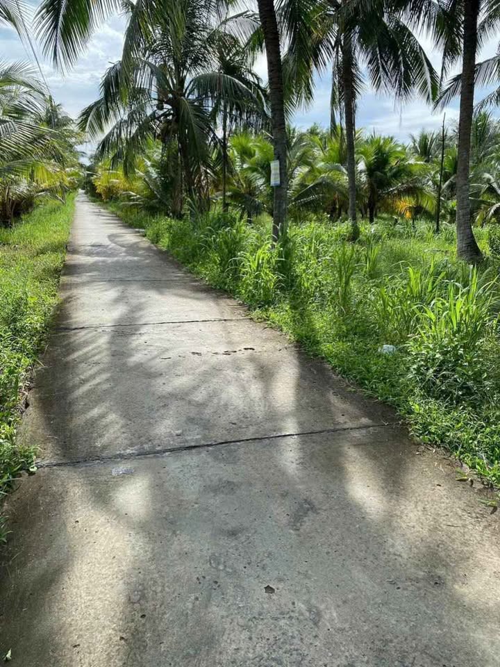 Chào mừng quý khách đến với miền đất hứa tại Bến Tre, nơi có nền biệt thự rộng rãi, thoáng đãng đang chờ đón chủ nhân