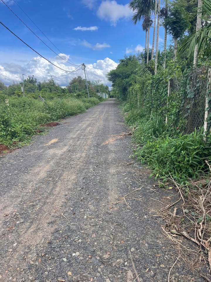 Đất view đẹp, gần 1.2 sào, Tân An cơ hội đầu tư hấp dẫn