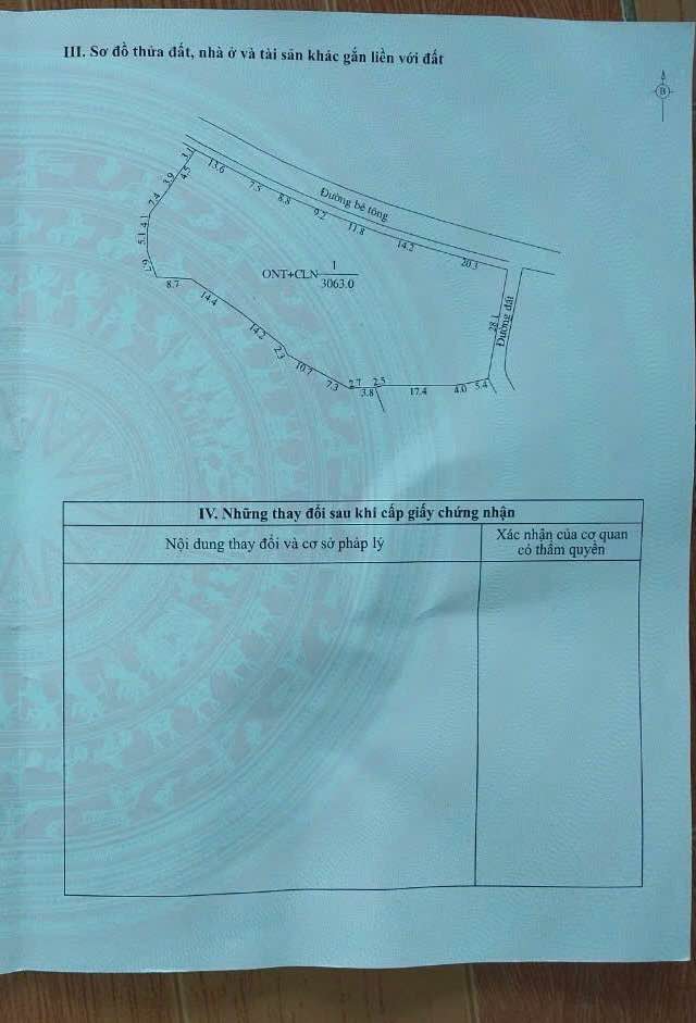 Đất Tân Lập 3000m² view vườn, hơn tỷ bạc, phân lô cực ngon