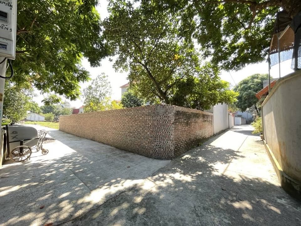 Cơ hội sở hữu ngay mảnh đất đắc địa ngay chợ Dâu