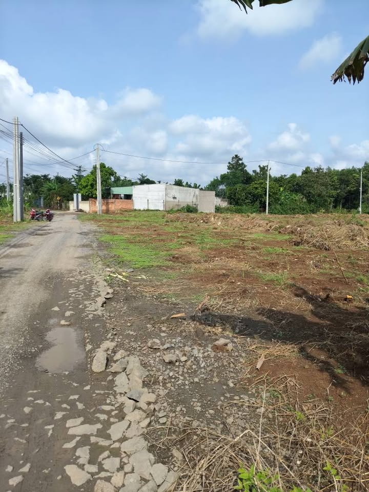 Cần bán 3 lô đất tuyệt đẹp, mỗi lô có diện tích 1000m2