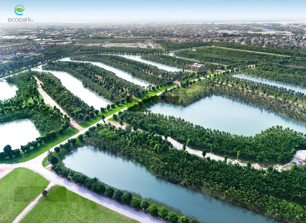 Cần cho thuê 68m2 full đồ view Vịnh đảo siêu đẹp thoáng mát giá rẻ 9 triệu Oasis S2 Ecopark