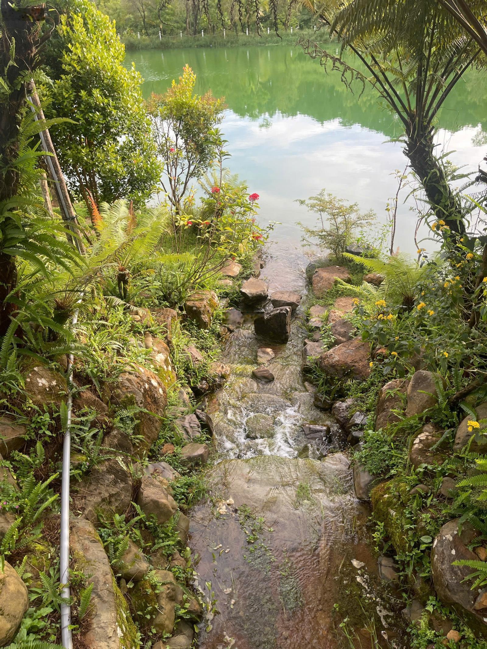 SỐC chỉ 7triệu/m2 ngay Sở hữu lô đất view đồi - hồ - rừng thông nghỉ dưỡng chuẩn resort tại Bảo Lộc