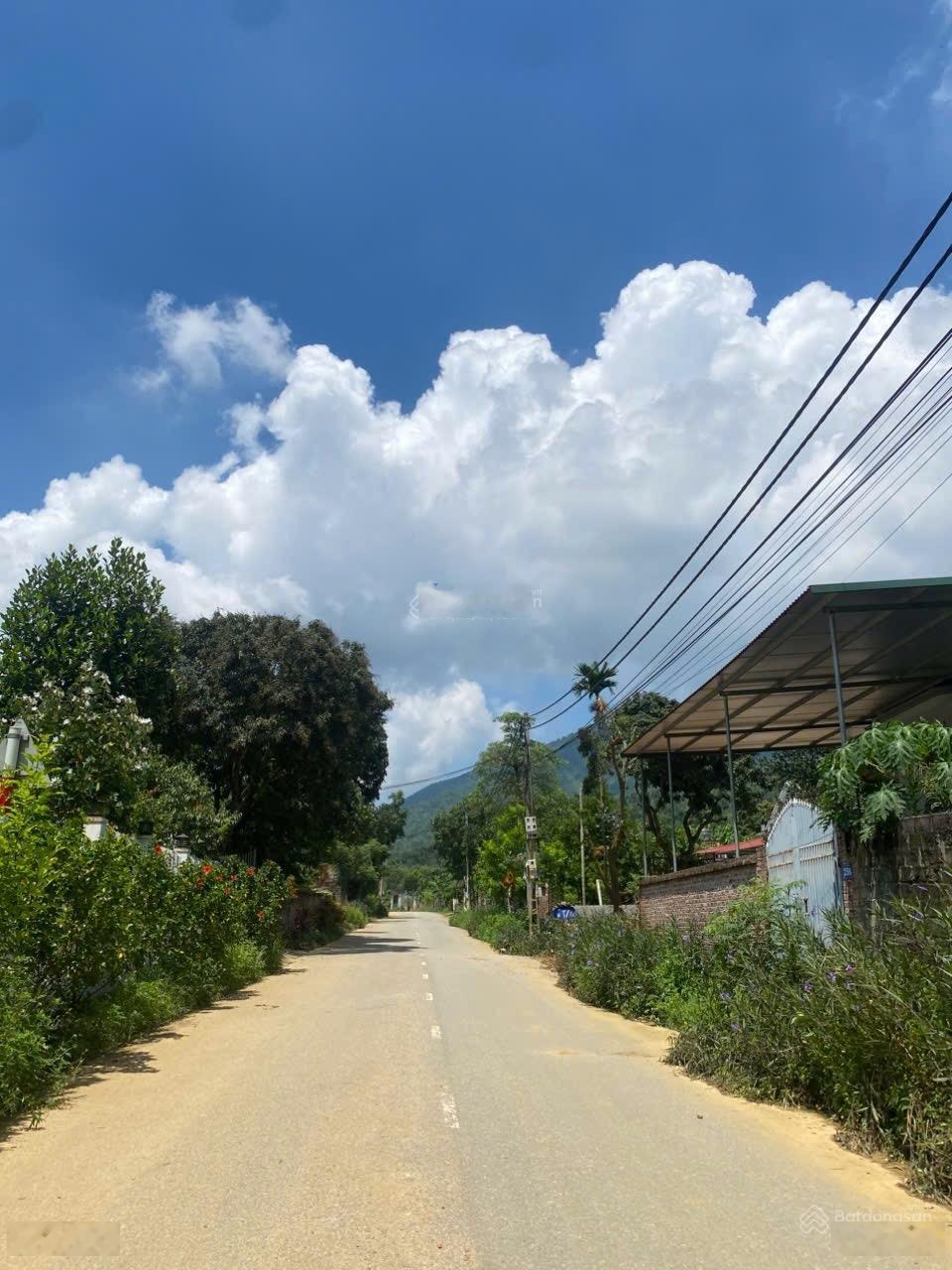 Bán gấp đất đẹp tại Xã Yên Bài, Ba Vì, Hà Nội 5,5 tỷ, 448 m2