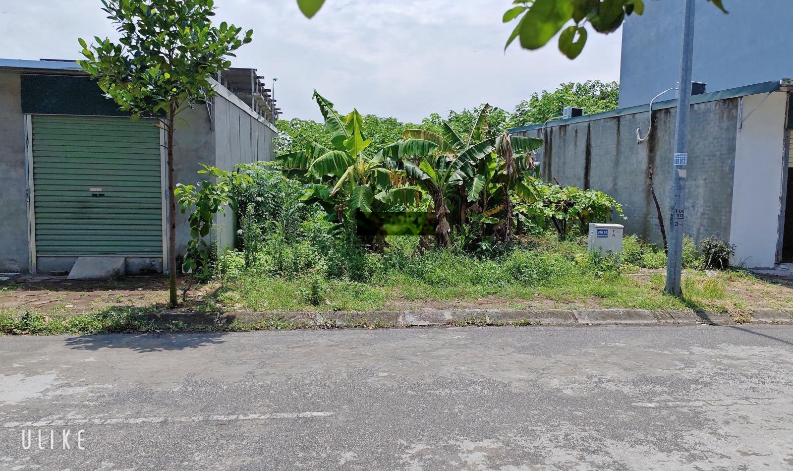 Sang nhượng lô đất phân lô đường Ngô Xuân Quảng, Gia Lâm 118m2 giá 14.7 tỷ