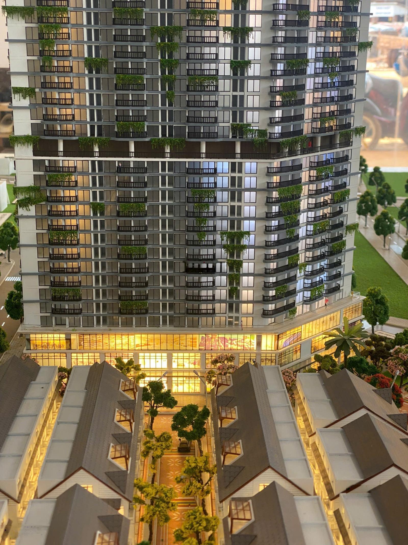 So sánh mua nhà phố eco palace vs nhà phố cũ bmt