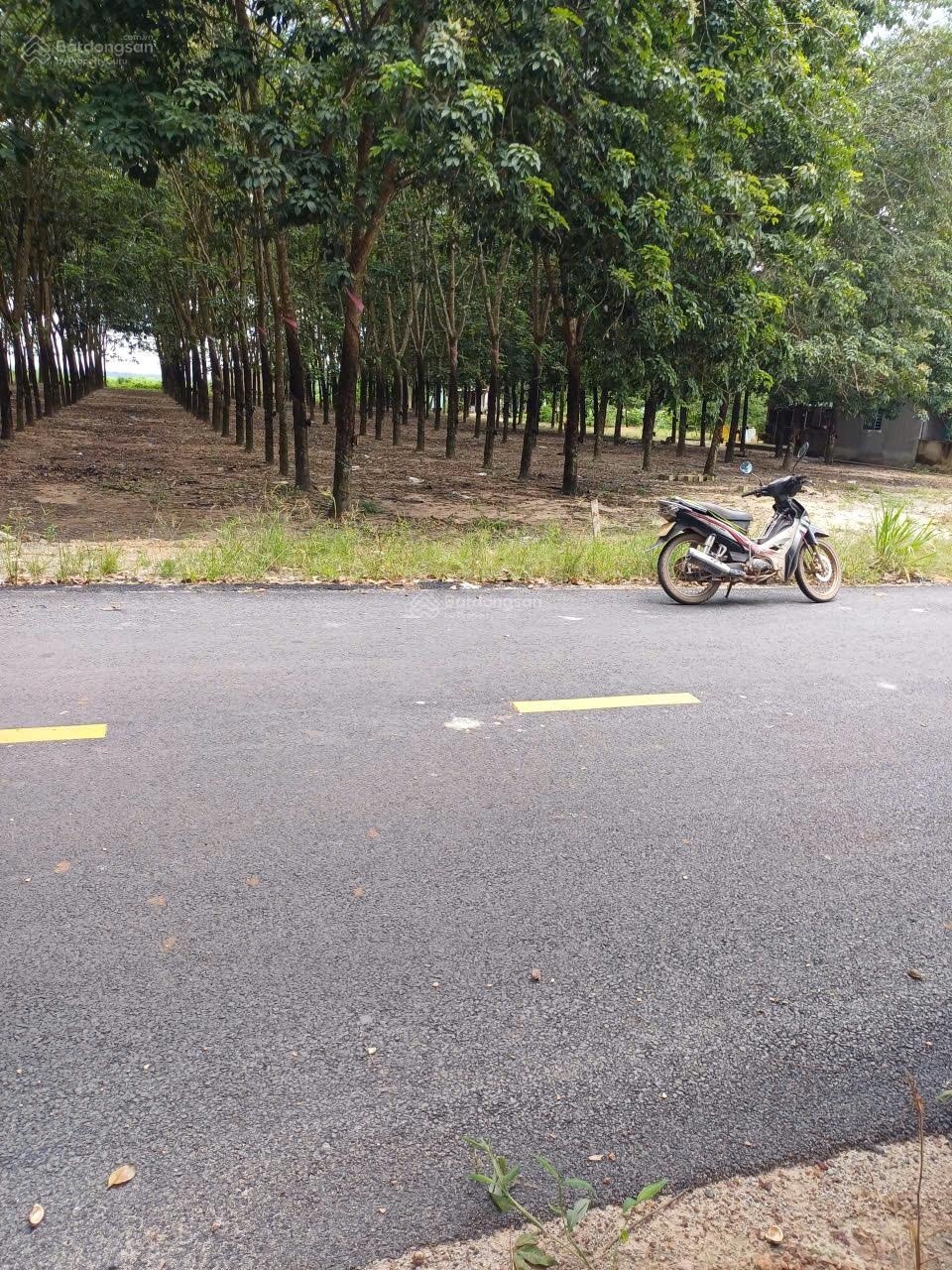 Chính chủ cần bán lô đất mặt tiền đường Tân Định 37, Bắc Tân Uyên, Bình Dương, giá đầu tư