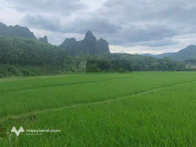 Bán 3871m2 có 300m2 TC, view hồ, núi