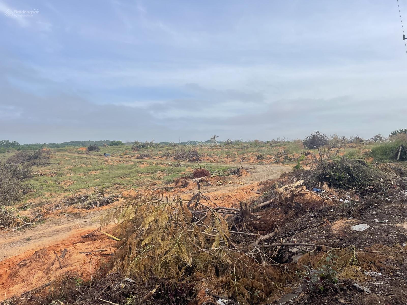 Bán đất gần 1.100m2, 300m2 thổ cư mặt tiền 11m ngay trung tâm Mũi Né