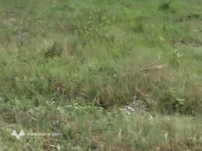 Đất nền tại Xã Xuân Thành, Nghi Xuân, Hà Tĩnh, đối diện với khu đô thị sắp khởi công