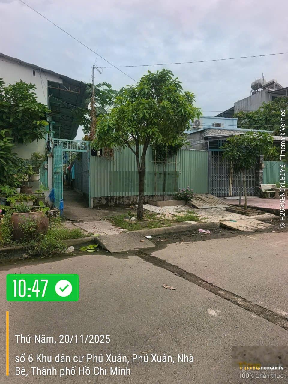 ảnh