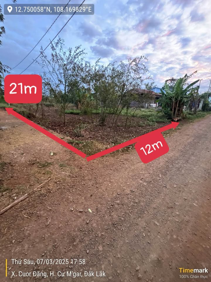 Mảnh đất vàng Cuorđăng, sổ đỏ thổ cư, sổ hồng sẵn sàng