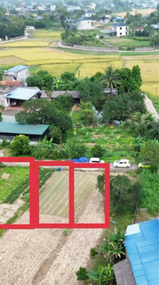 Đất thổ cư Lương Sơn mặt tiền rộng, nở hậu, đón sóng khu công nghiệp