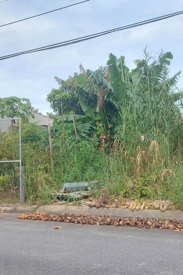 Bán gấp đất trung tâm thương mại Lấp Vò, Đồng Tháp 850 triệu