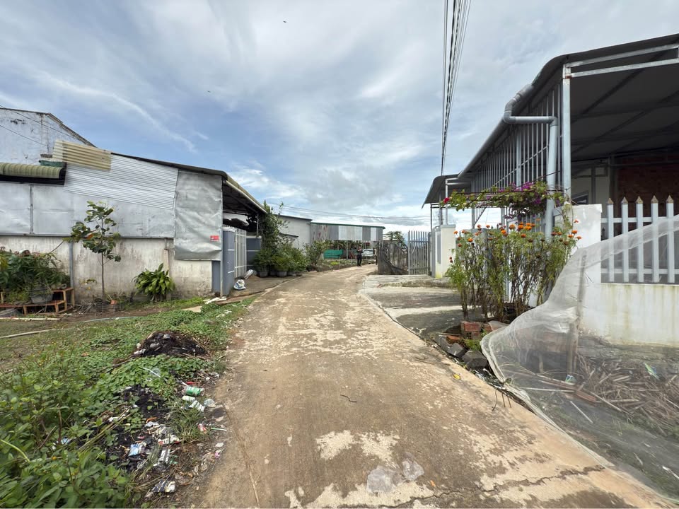 Cơ hội đầu tư hoặc an cư cực đỉnh tại Đức Trọng, Lâm Đồng