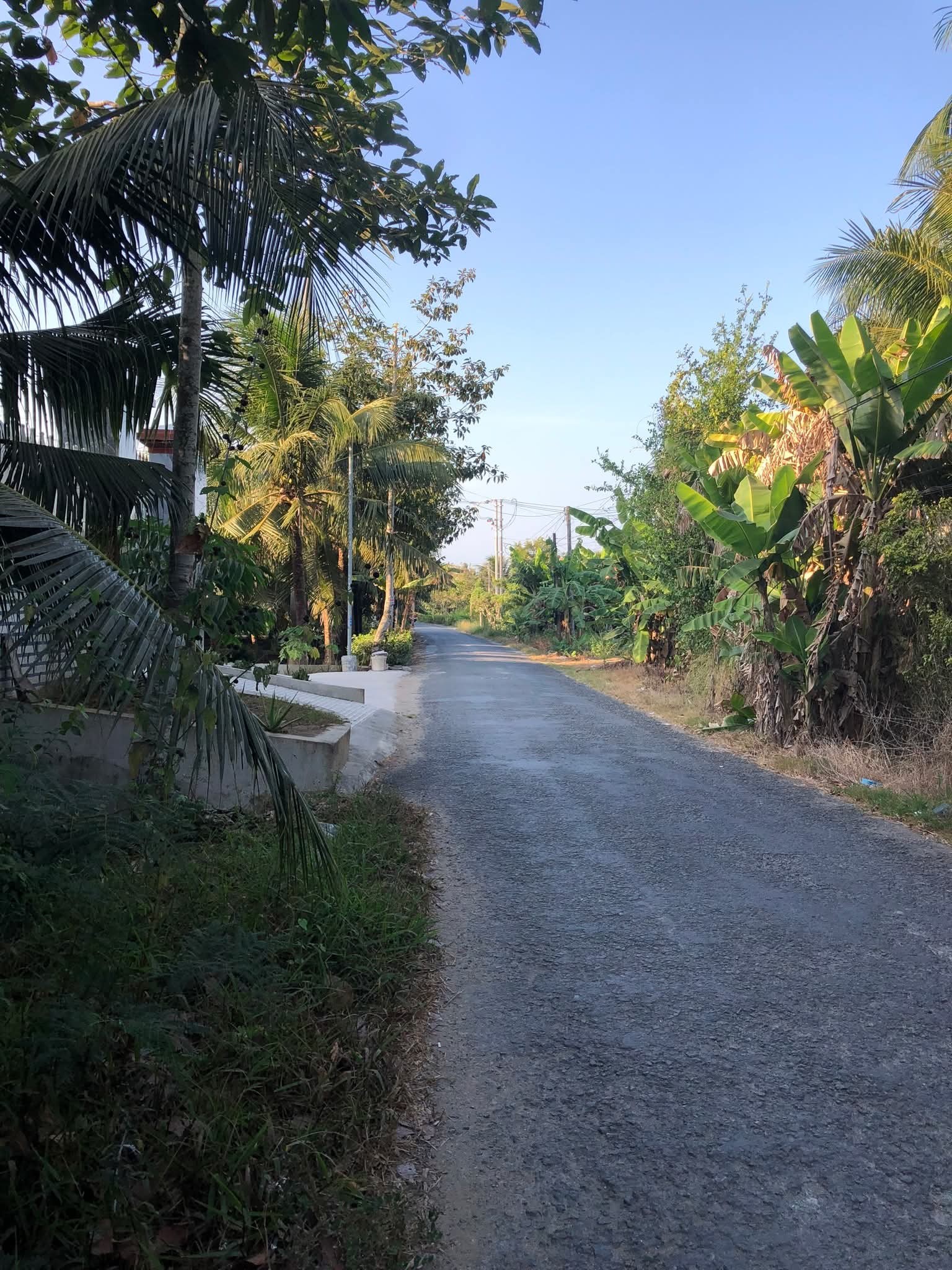 Bán đất vàng Phú Thuận, Bình Đại - 10m mặt tiền đường nhựa, gần KCN