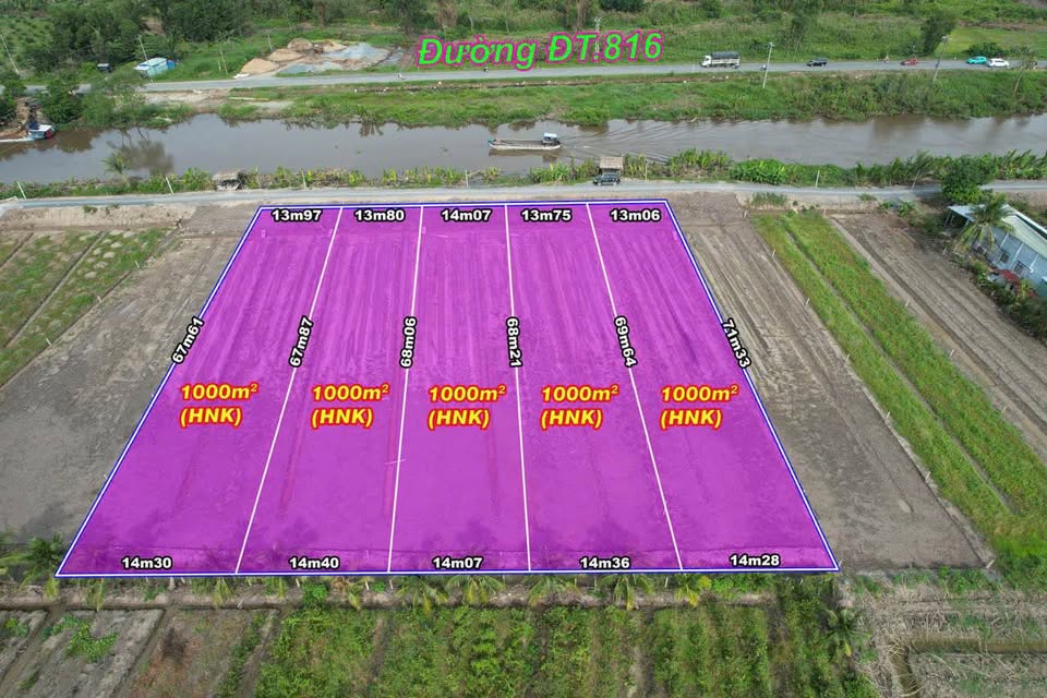Bán đất vườn Long An 1000m2 hướng Đông Bắc, mặt tiền kênh lớn, sổ đỏ sẵn sàng