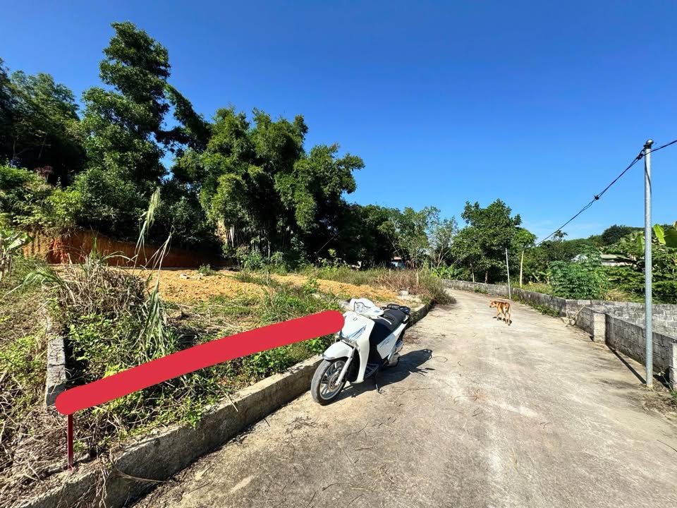 Đất Thịnh Đán - 92.6m2, mặt tiền 5m, hướng đông bắc, giá chỉ 1.29 tỷ