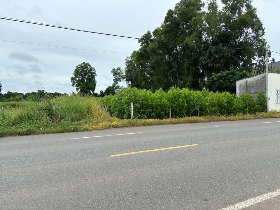 Đất vườn Đá Bạc - Nghĩa Thành siêu hot, giá chỉ 1 tỷ/sào