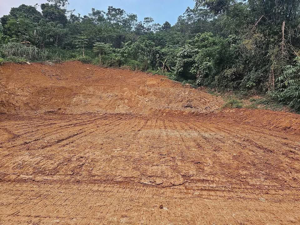 Siêu phẩm đất nền Duyên Hải - ô tô vào tận nơi, sổ đỏ sẵn sàng