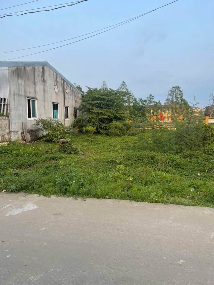 Cơ hội sở hữu nửa lô đất Thủy Phù ngay cạnh trường cấp 1