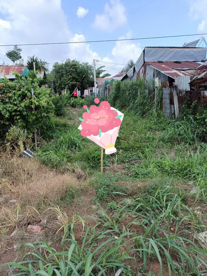 Bán đất mặt tiền Quốc Lộ 53, Trà Vinh, 750 triệu