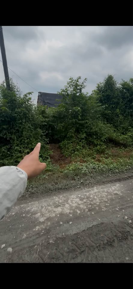 Đất Củ Chi xịn sò, 303m2, giá chốt iu thương 2.4 tỷ