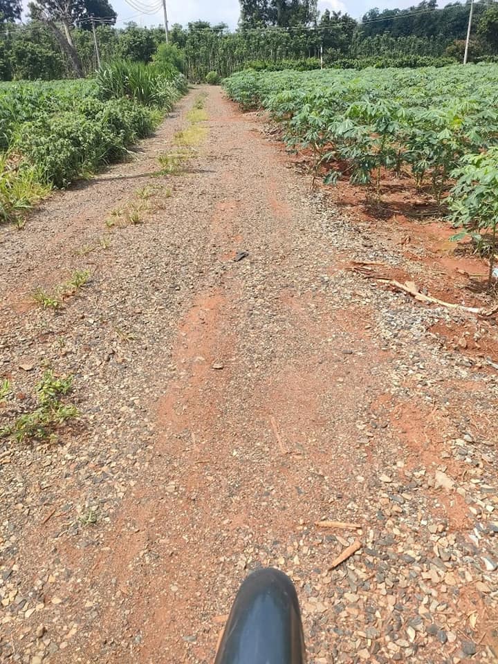 Đất Vũng Tàu 48x25m, sổ hồng riêng, giá chốt 750 triệu, chủ cần tiền