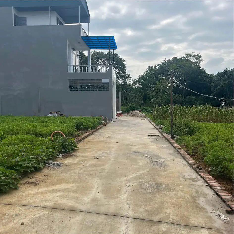 Đất thổ cư Cổ Miếu, Tiên Du vị trí đắc địa, sinh lời bền vững