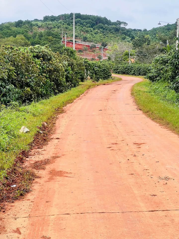 Biệt thự sân vườn nghỉ dưỡng ven Đà Lạt, 620m² đất, 3.7 tỷ