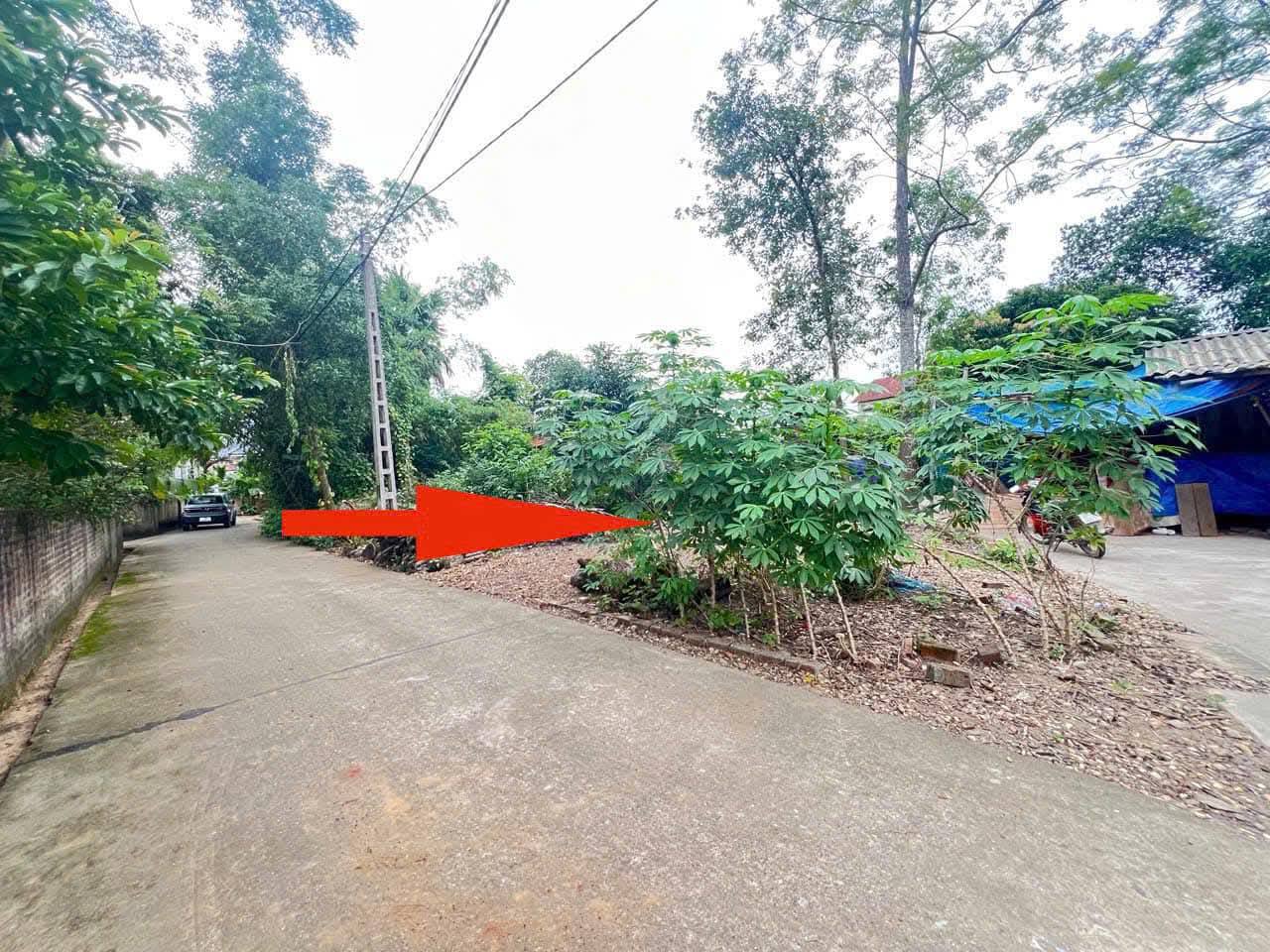 Đất xịn Văn Quán, Sông Lô, Vĩnh Phúc, giá iu thương