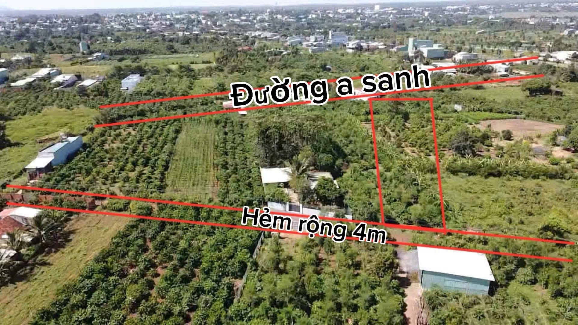 Đất Gia Lai, 14mx74m, sổ hồng sẵn sàng, giá chốt nhẹ