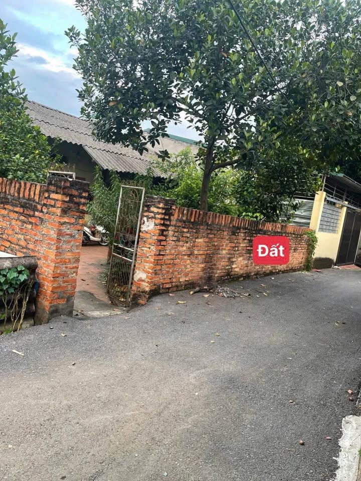 Đất Vĩnh Yên xịn sò, 80m² full thổ cư, tiện ích đầy đủ!