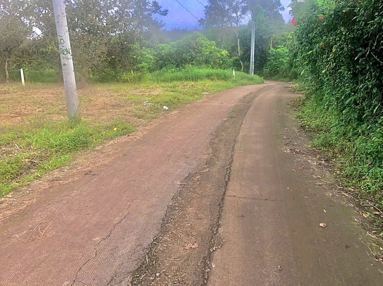 Đất vườn Long Khánh 690 triệu/sổ, chuyển nhượng nhanh tay