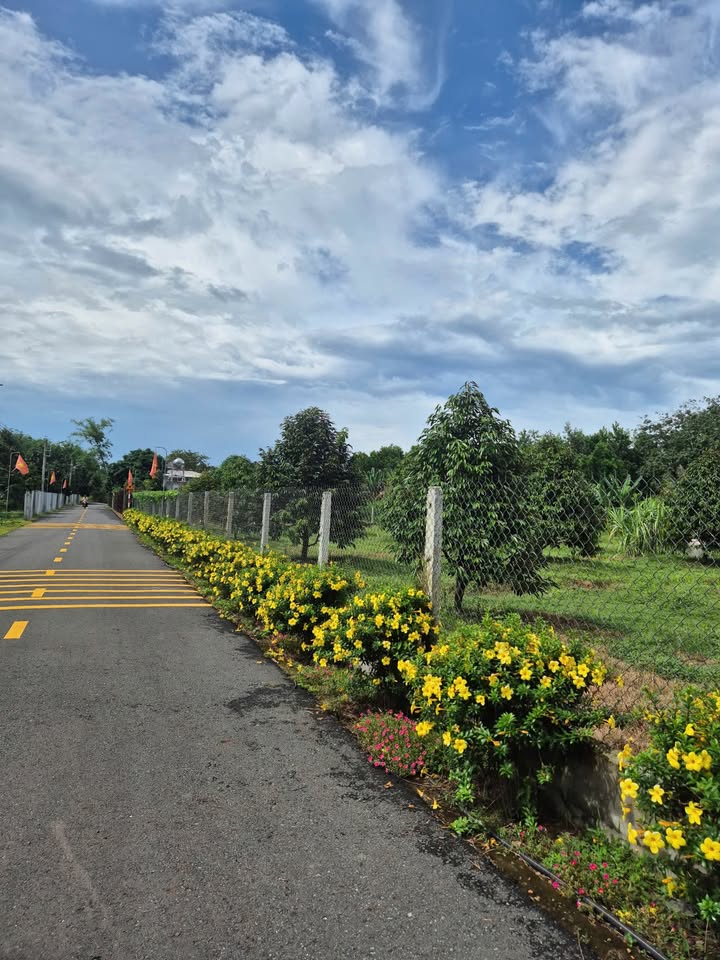 Bán đất thổ cư tại trung tâm Tân Hiệp, Bến Cát