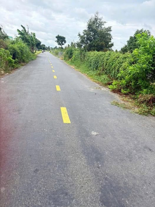 Bán đất mặt tiền Huyện lộ 82, Cái Bè, Tiền Giang - 12m x 32m, sổ sẵn