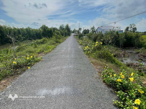 Chào mừng đến với cơ hội vàng để sở hữu một nền đất tuyệt vời tại Tân Hoà Tây, Tân Phước, Tiền Giang