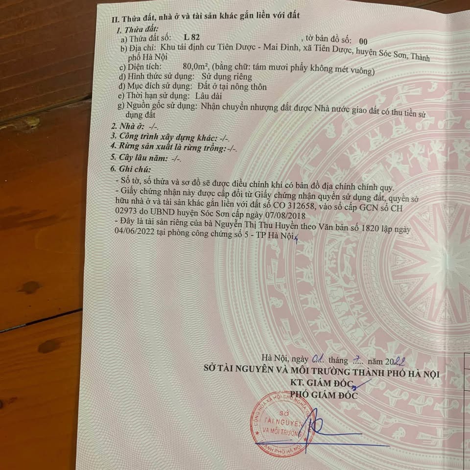 Siêu phẩm đất nền Tái Định Cư Hạ Mai Đình, Sóc Sơn, Hà Nội đã sẵn sàng