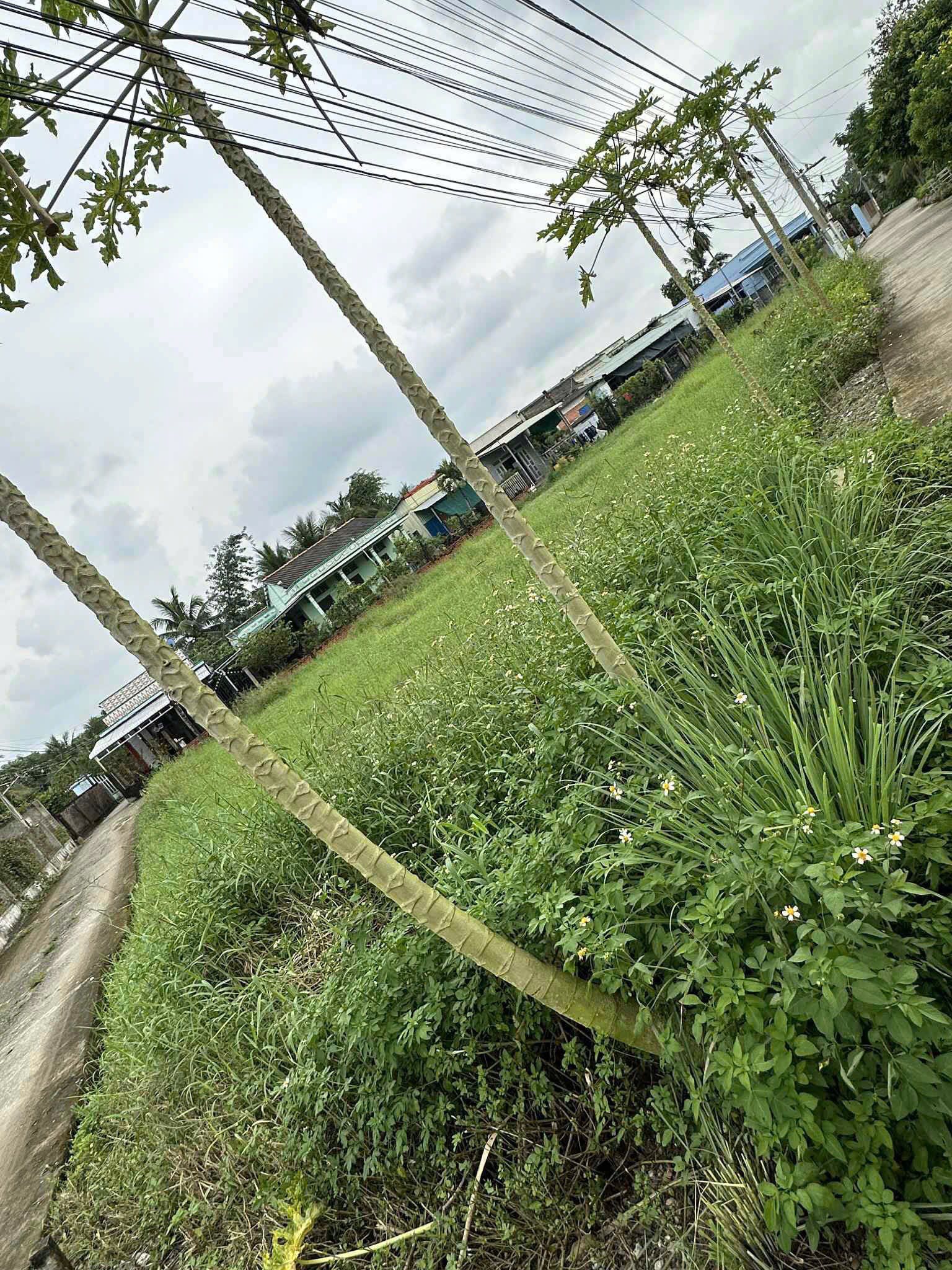 Lô góc 2 mặt tiền Long Hiệp, Cần Giuộc - Đất vàng cho nhà vườn, phân lô