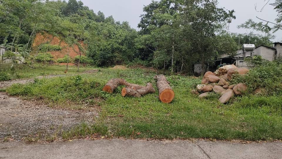 Đất vàng 387m2 Ngô Minh Loan, tách lô, xây vườn, ô tô thoải mái