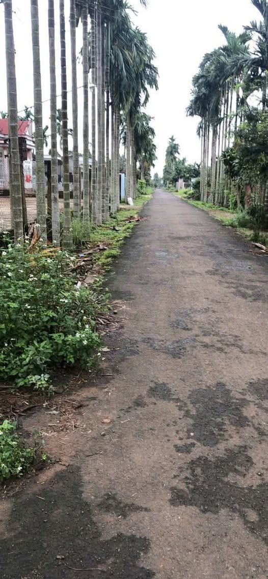 Đất vàng 1200m2, mặt tiền 10m, giá 250 triệu/m2 Đắk Lắk