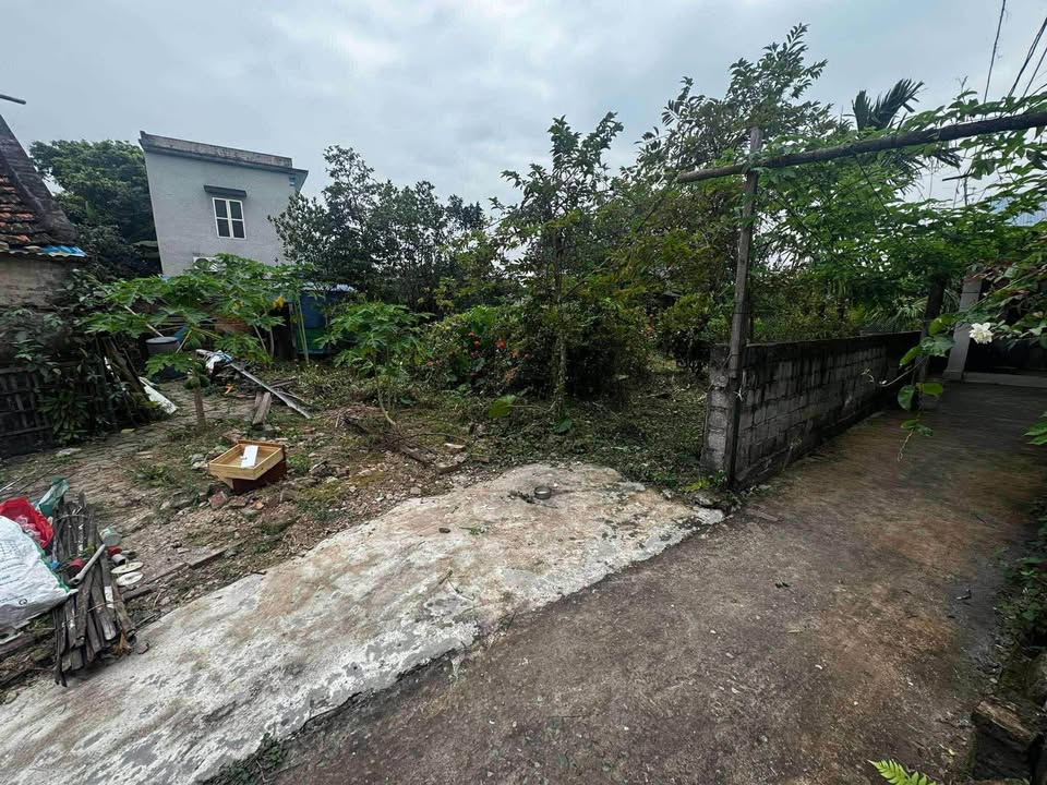 Bán đất 208m2, chia 3 lô, ngõ nông taxi vào được tại Phường Hồng Quang, Nam Định