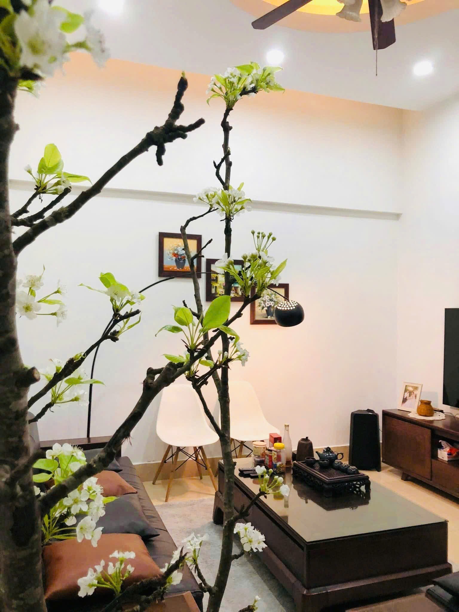 Bán nhà lô góc 61m2, 3,5 tầng, 2 mặt tiền 8m, nở hậu tại Hoàng Mai, Hà Nội